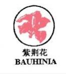 BAUHINIA+Ͼͼ