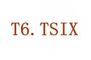 T6.TSIX