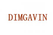 DIMGAVIN 