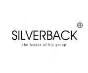 SILVERBACK THE LEADER OF HIS GROUP