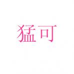 Ϳ