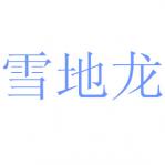 ѩ