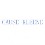 CAUSE KLEENE