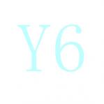 Y6