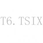 T6.TSIX